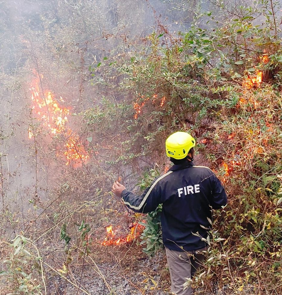 Fire in the forest of Kasardevi, populated area saved from getting engulfed