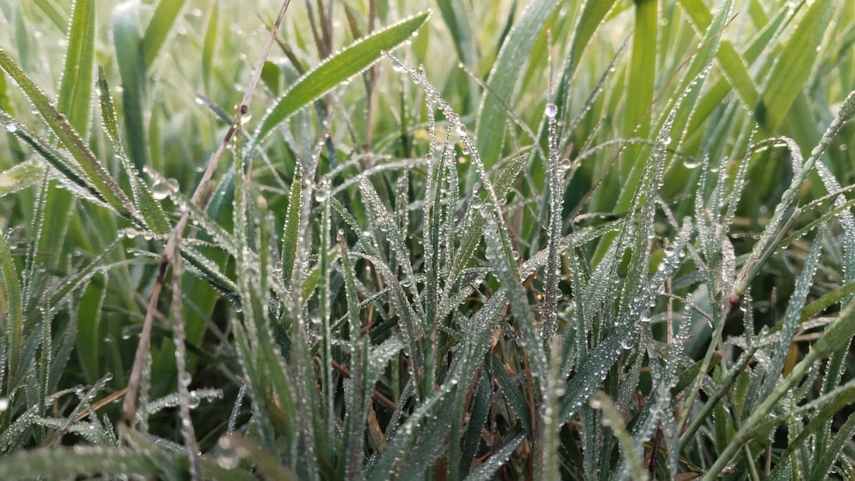 Frost started forming, cold winds increased the chill