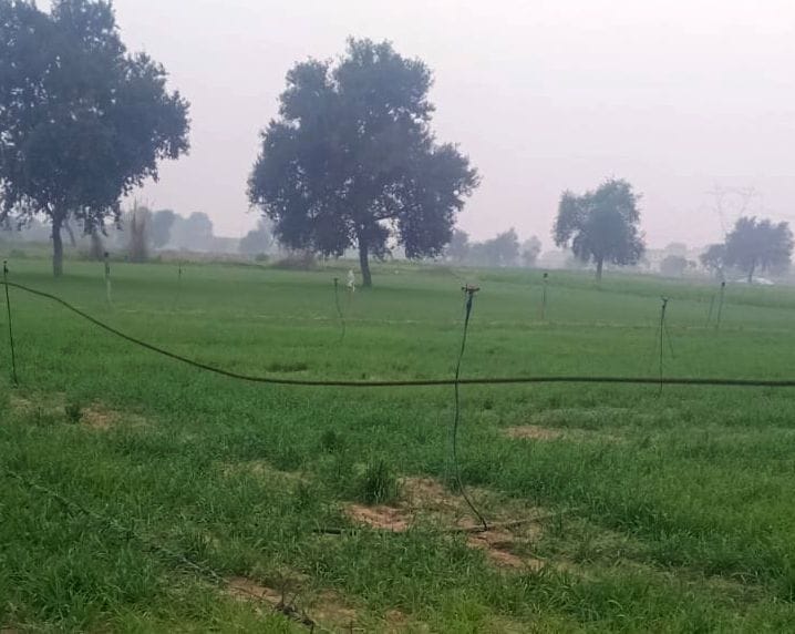 Where there are records of schools up to 12th standard, crops are flourishing there