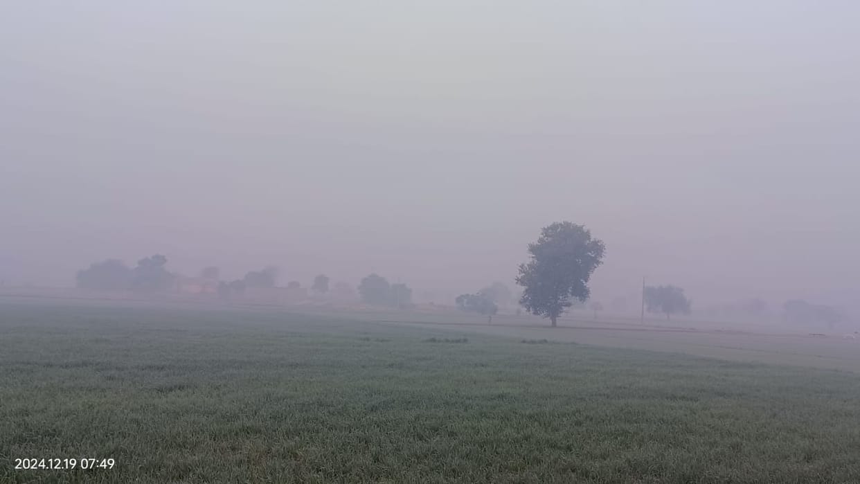 Deadly cold: Mercury near freezing point, body of a person found in Nehru Park
