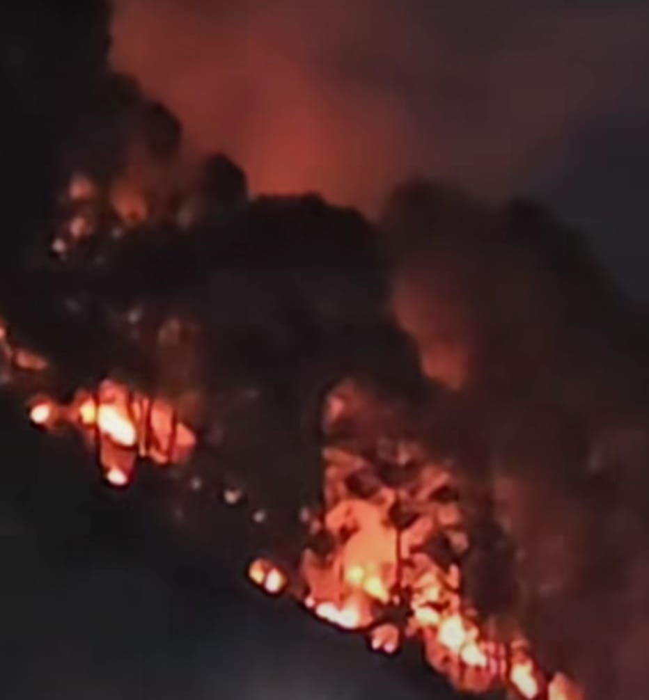 Fire broke out in the forest near Deunghat, Solan