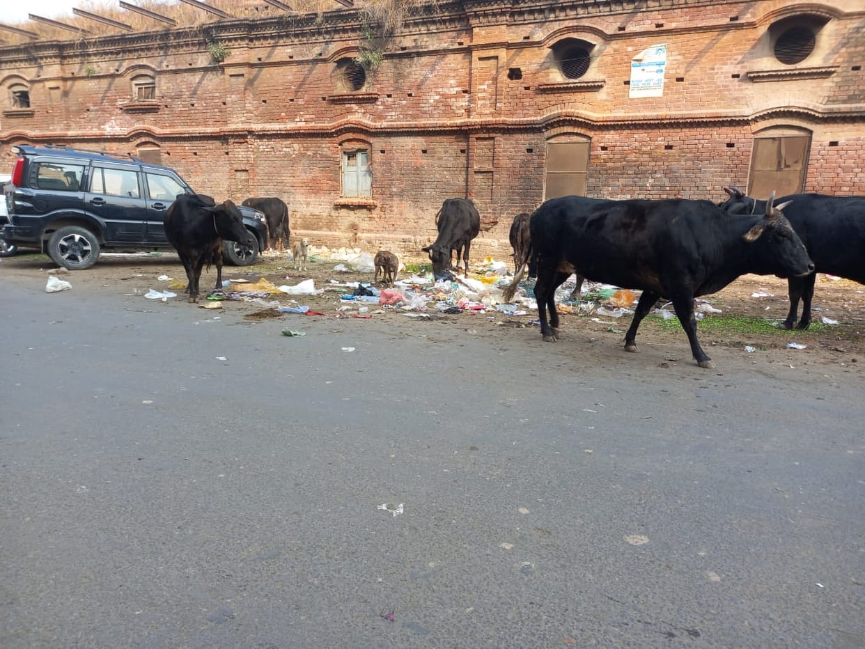 Door-to-door garbage collection scheme eclipsed