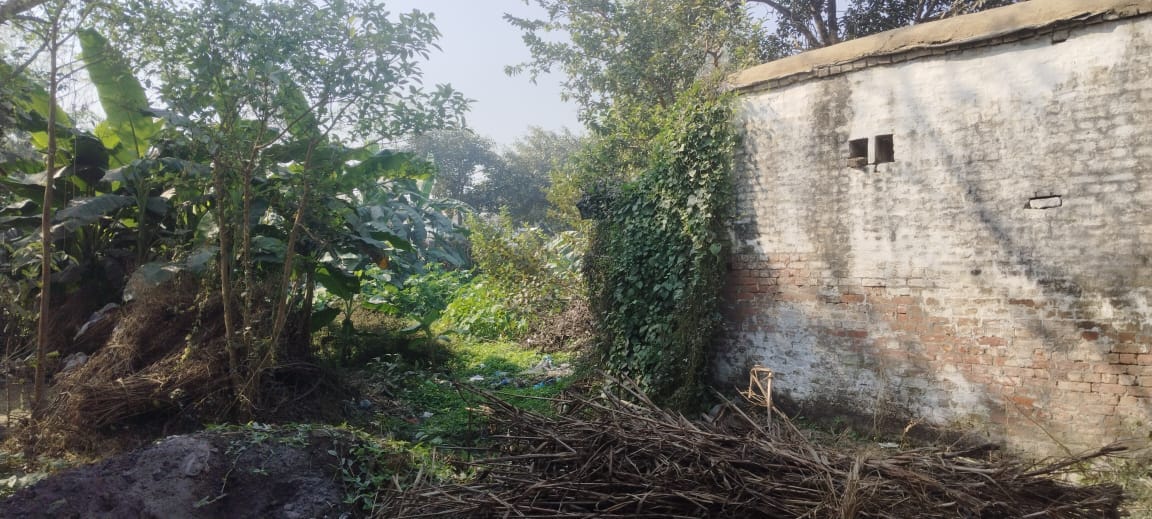 Pond ceases to exist due to encroachment, permanent houses built at various places