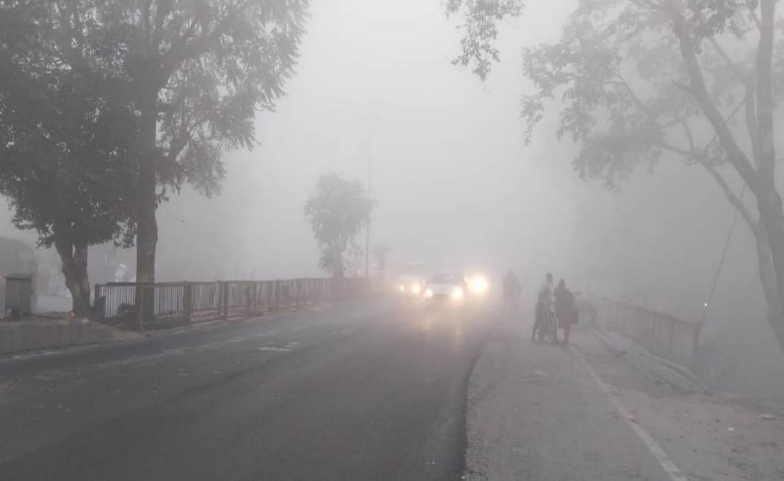 With fluctuations in temperature, now the possibility of cold web