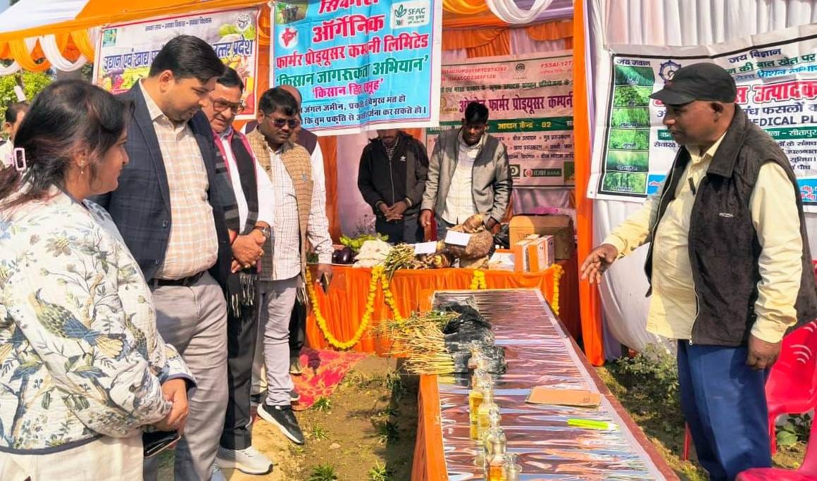 Cultivate horticultural crops to double income: DM