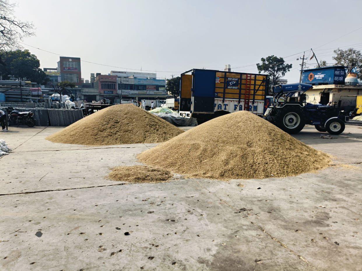 Paddy 1121 variety is getting low price, farmers are in loss