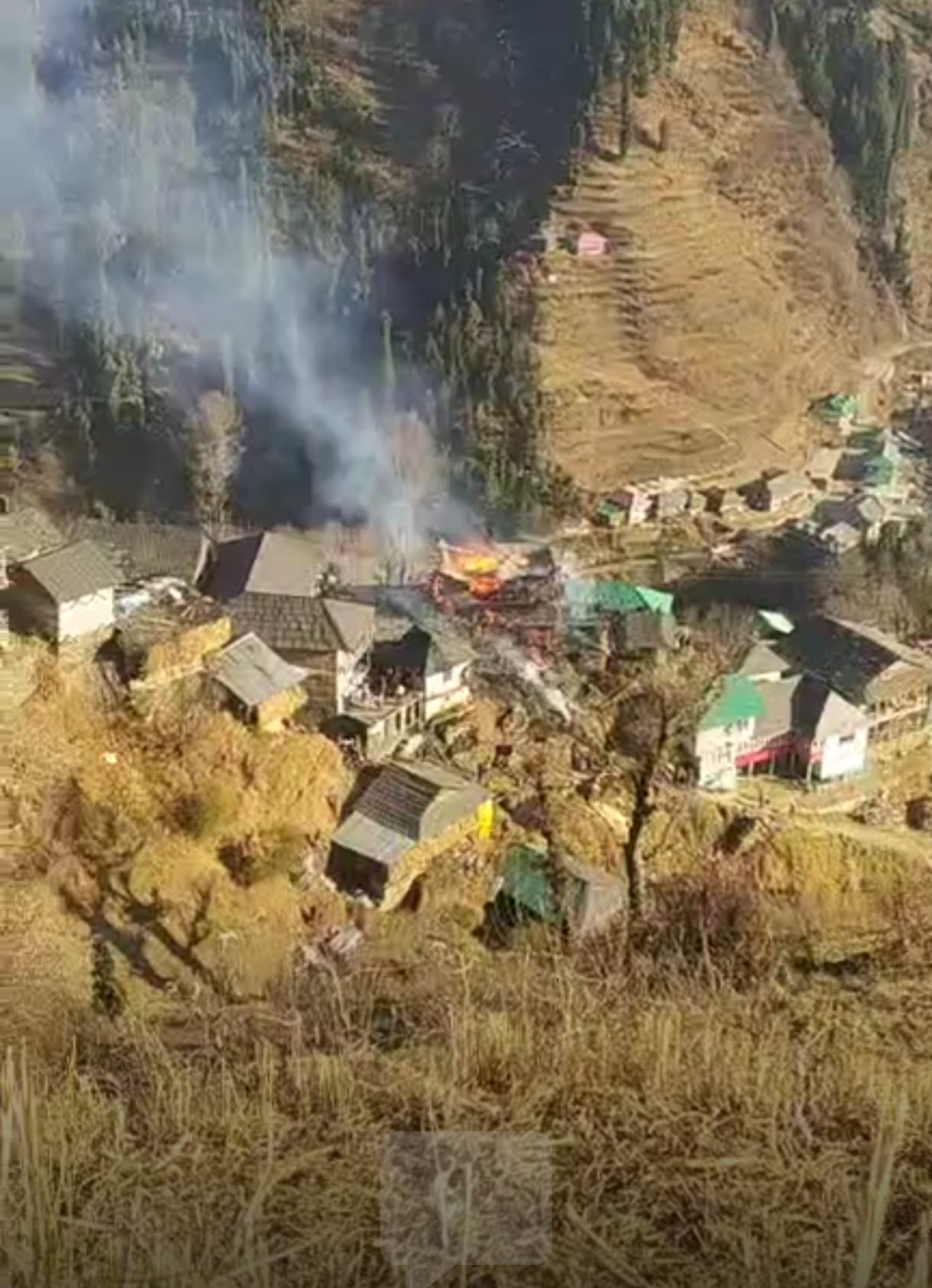 Six cow sheds burnt to ashes in Bali Chowki's Khauli