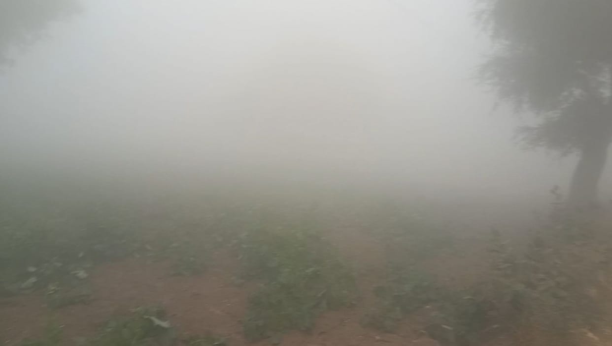 Dense fog slows down vehicle speed, visibility less than 50 meters