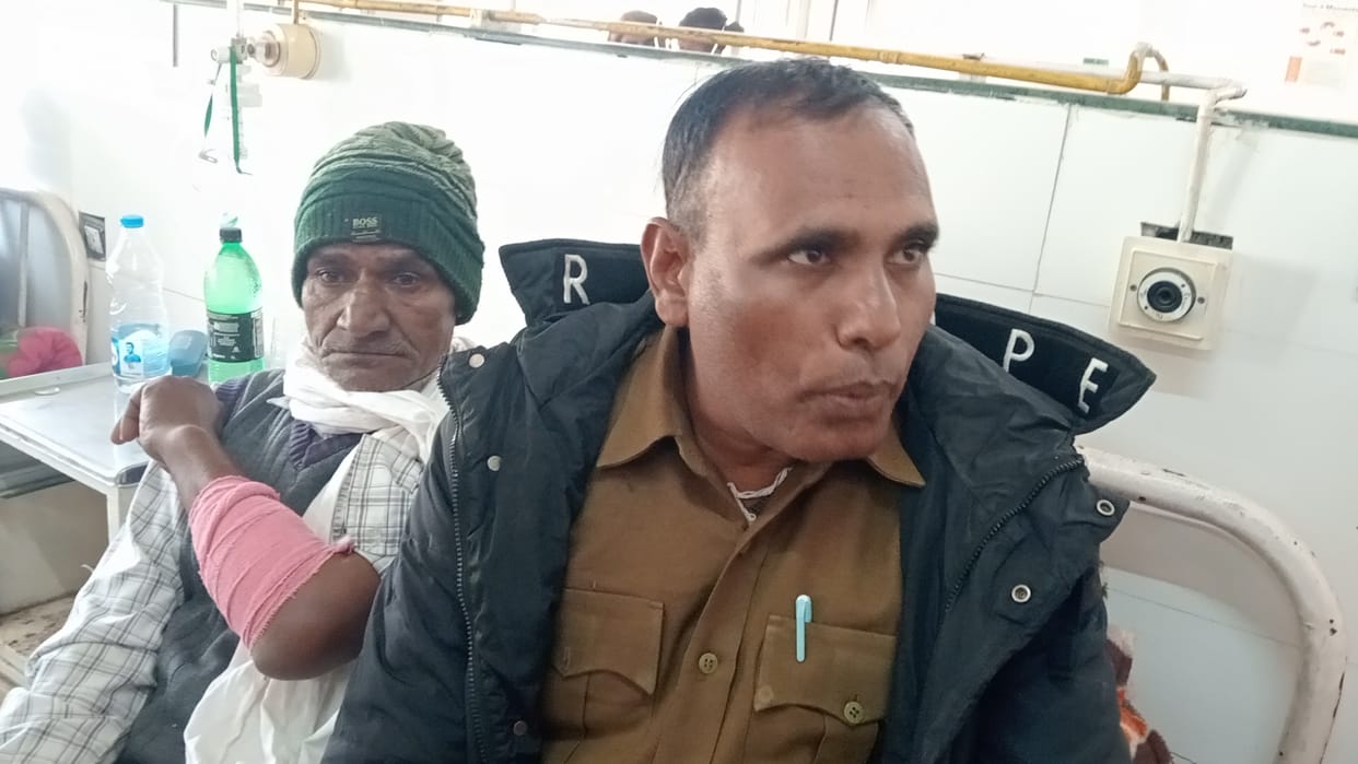 Forest guard and worker attacked with sticks
