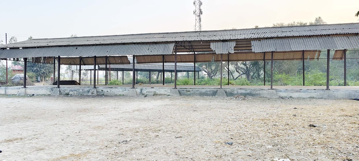 No centre, no employees, 12 thousand quintals of purchase shown at four places
