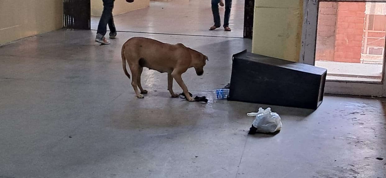 In the cold night, the beds of the caretakers are on the floor