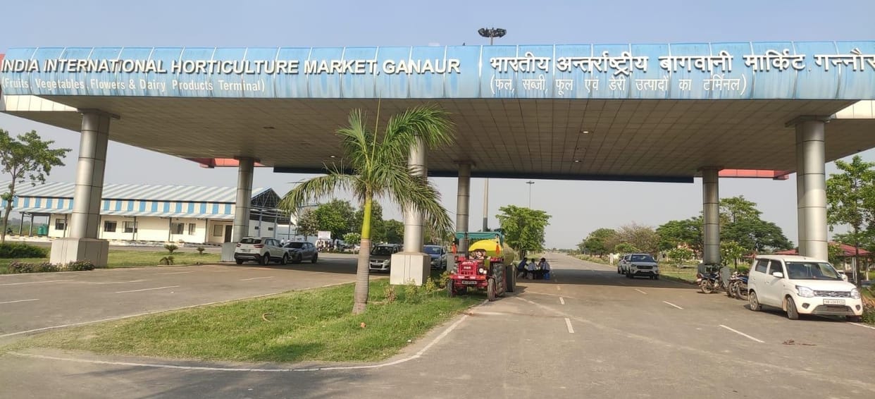Rain and grapes put a break, international horticulture market will be built one year late