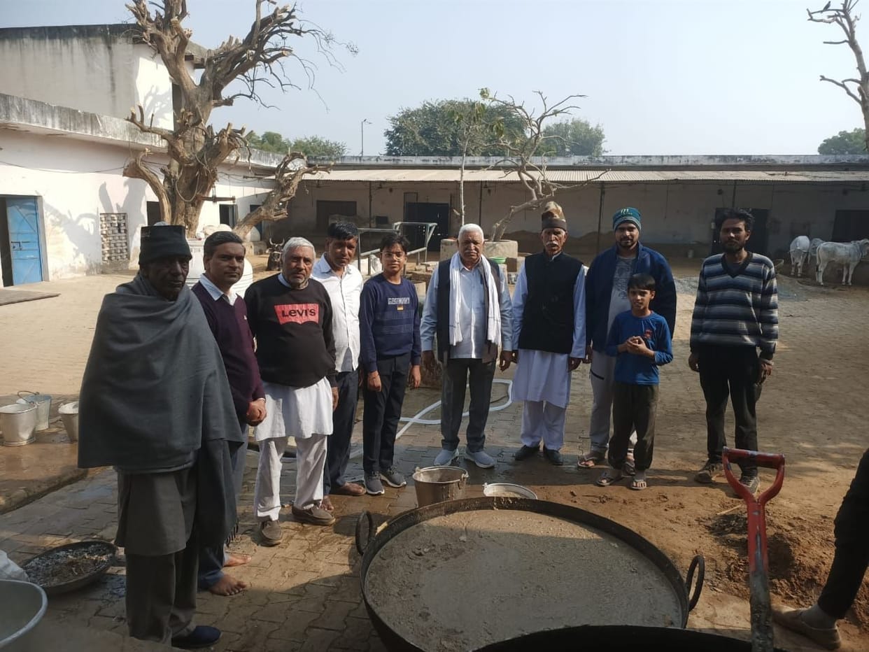 Sawmani imposed for cows in Shri Krishna Goshala