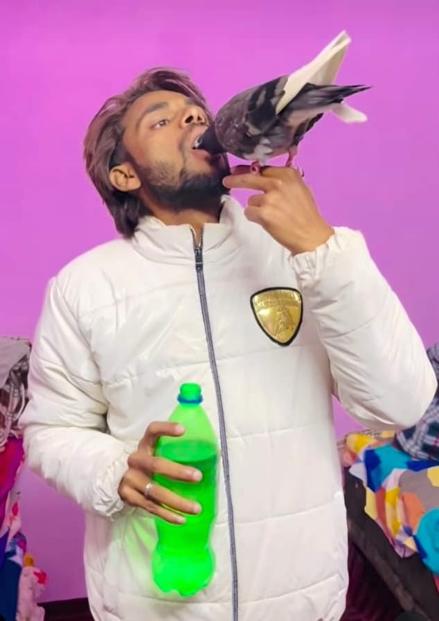 The friendship of the pigeon and Gulzar is famous on social media