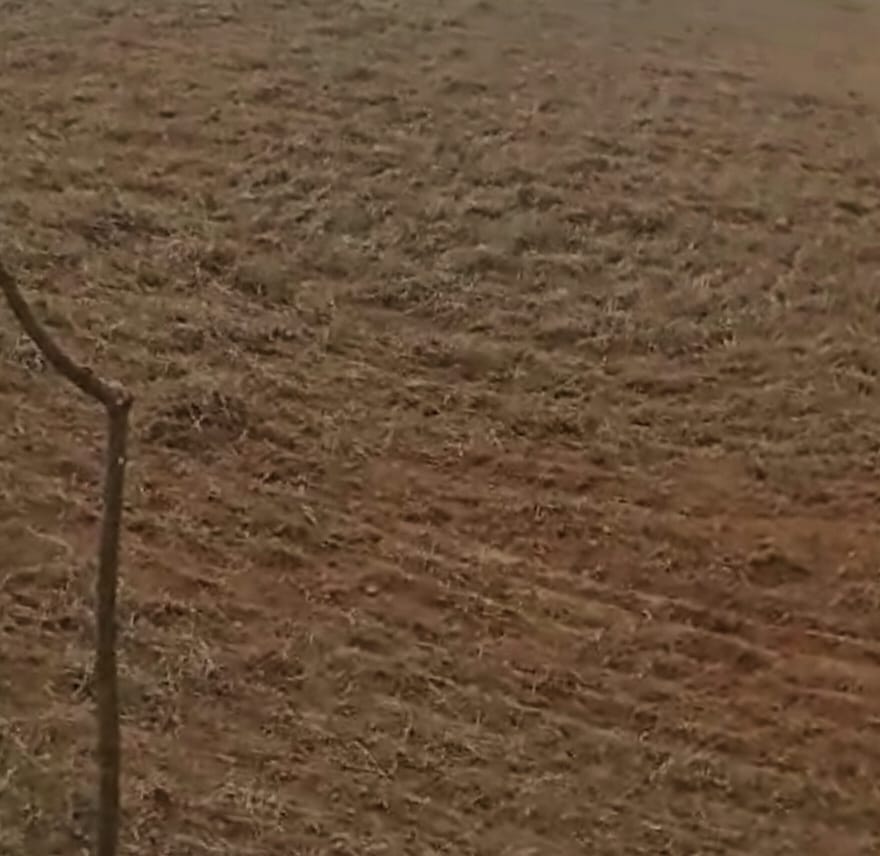 The level of the ground is becoming an obstacle in the modern sports stadium