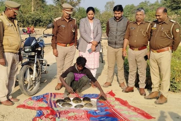 Turtles were being hunted in Barabanki's Udvat Nagar lake, one arrested, 15 absconding