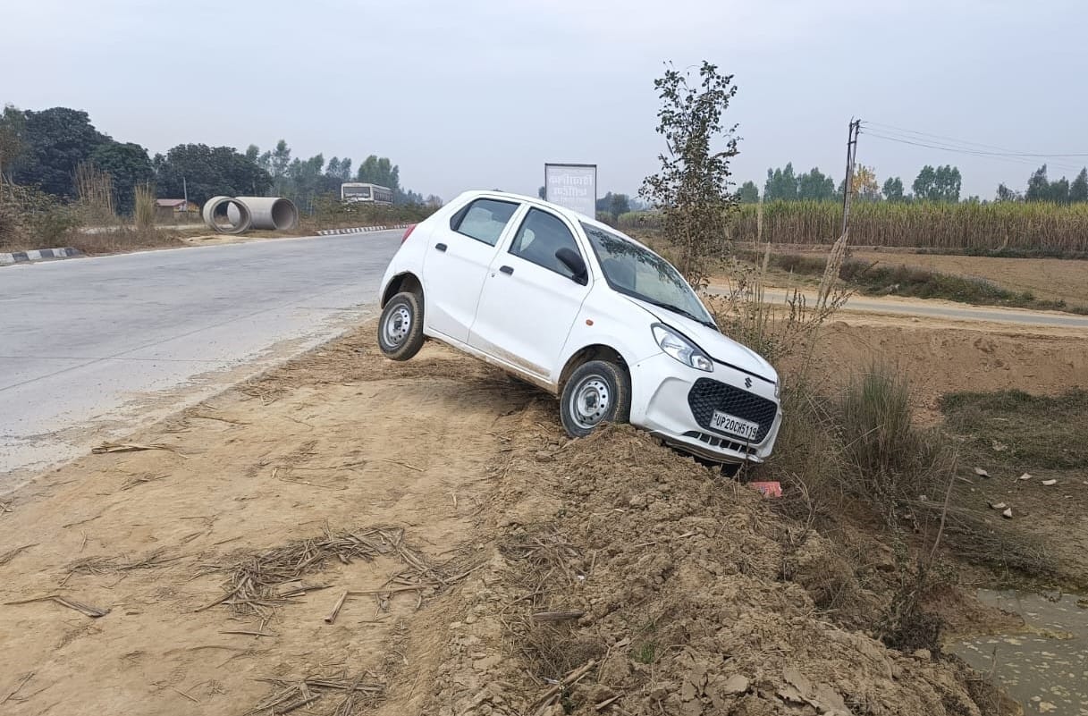 The car went out of control on the four-lane road after bees entered the car