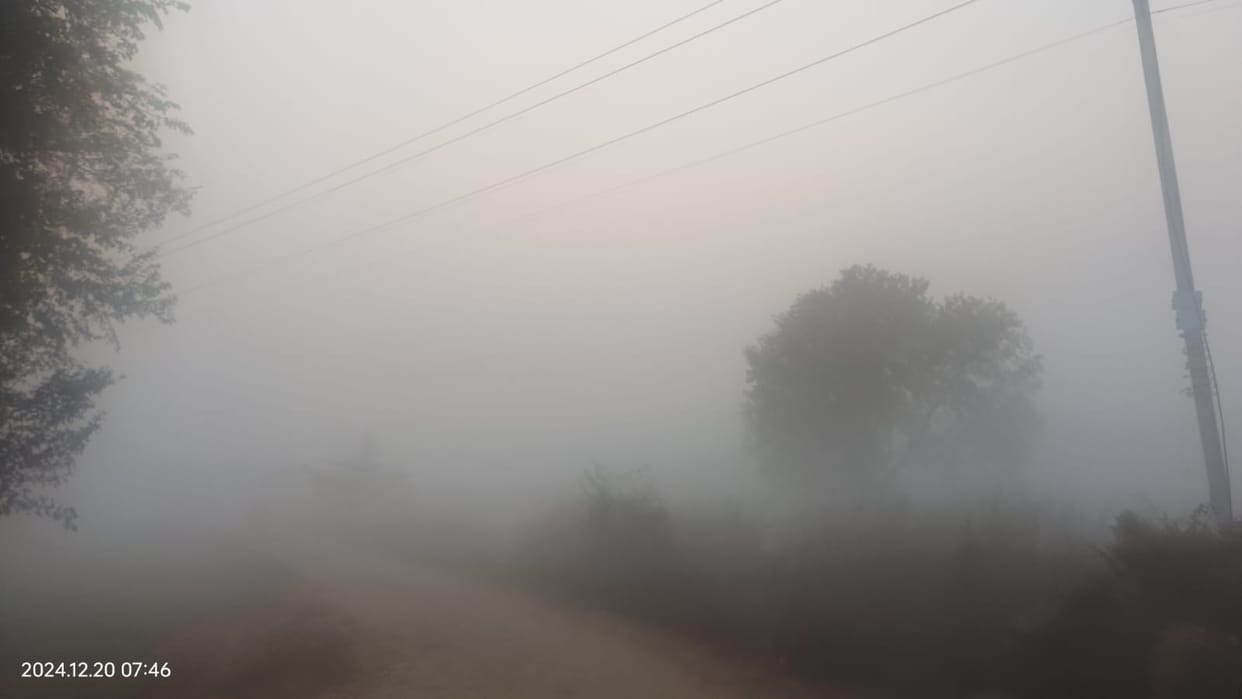 Cold winds increased the cold, minimum mercury reached 3.6 degrees in Sirsa