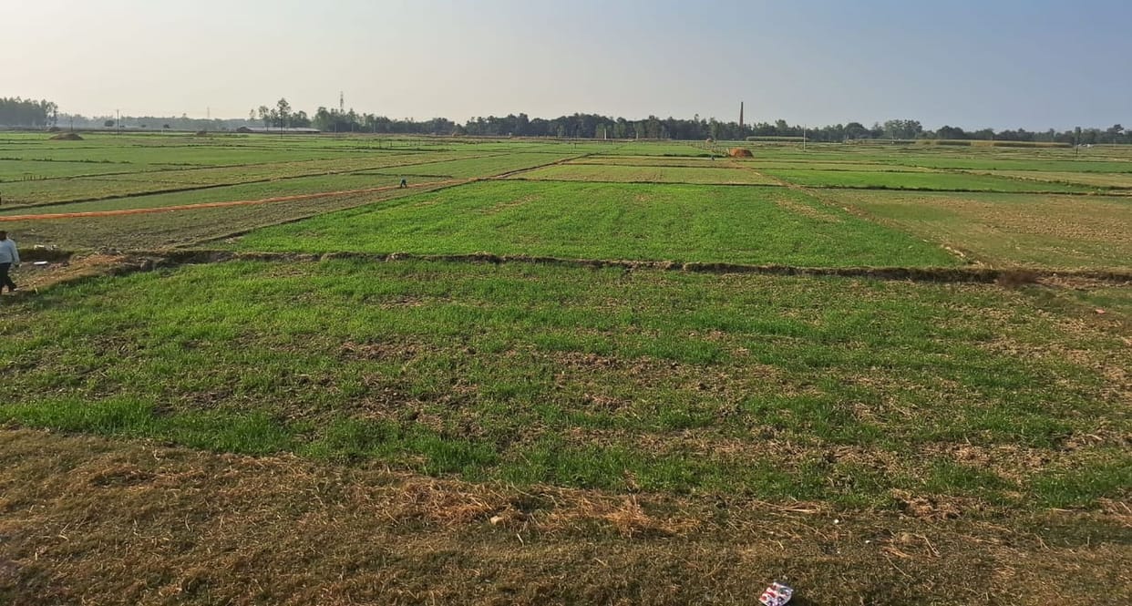 Obstacles removed from the path of multipurpose hub, development of border residents will get wings
