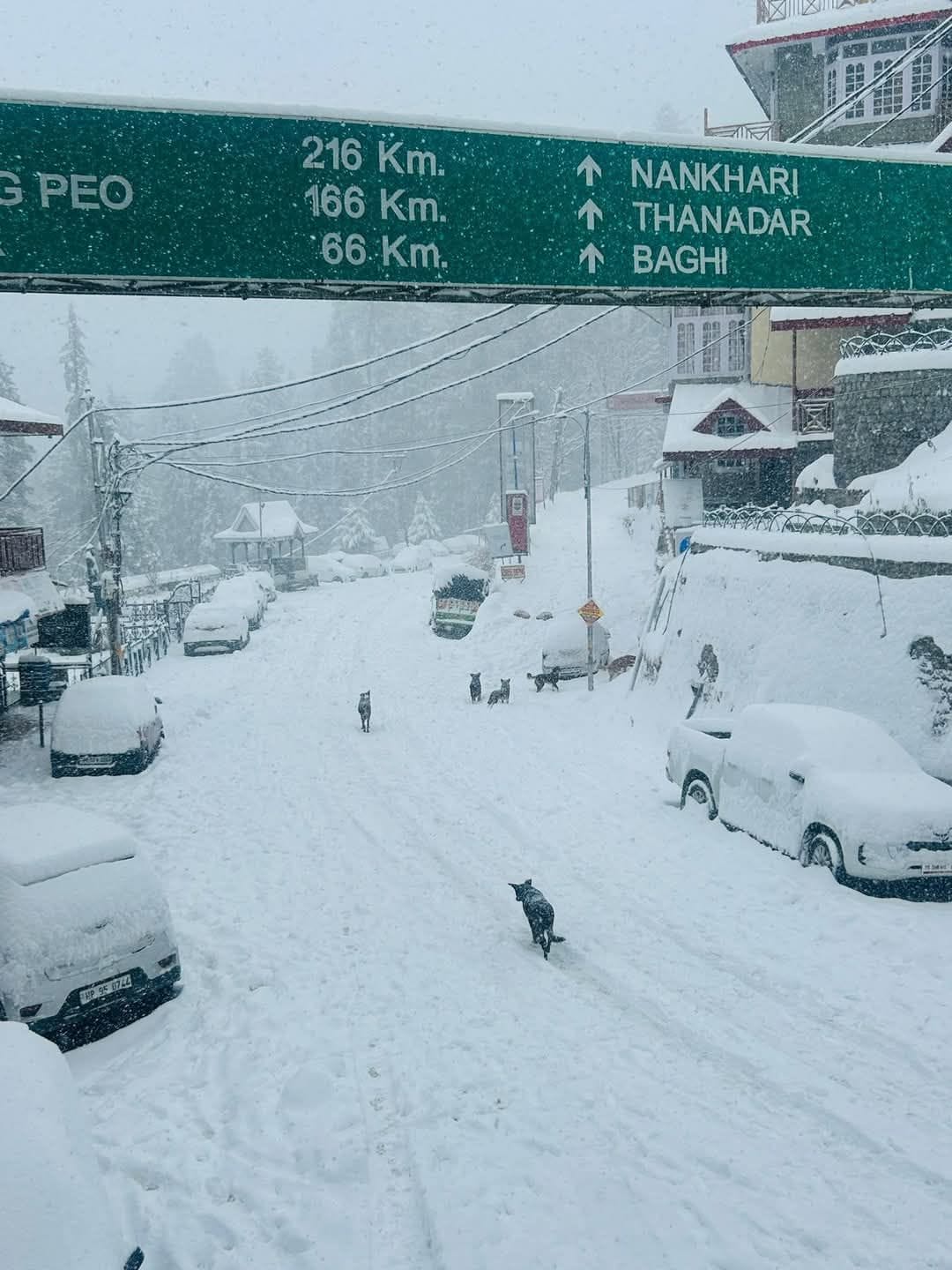 Snowfall in Kumarsain, Snowfall in Shimla, Rampur Bushahr