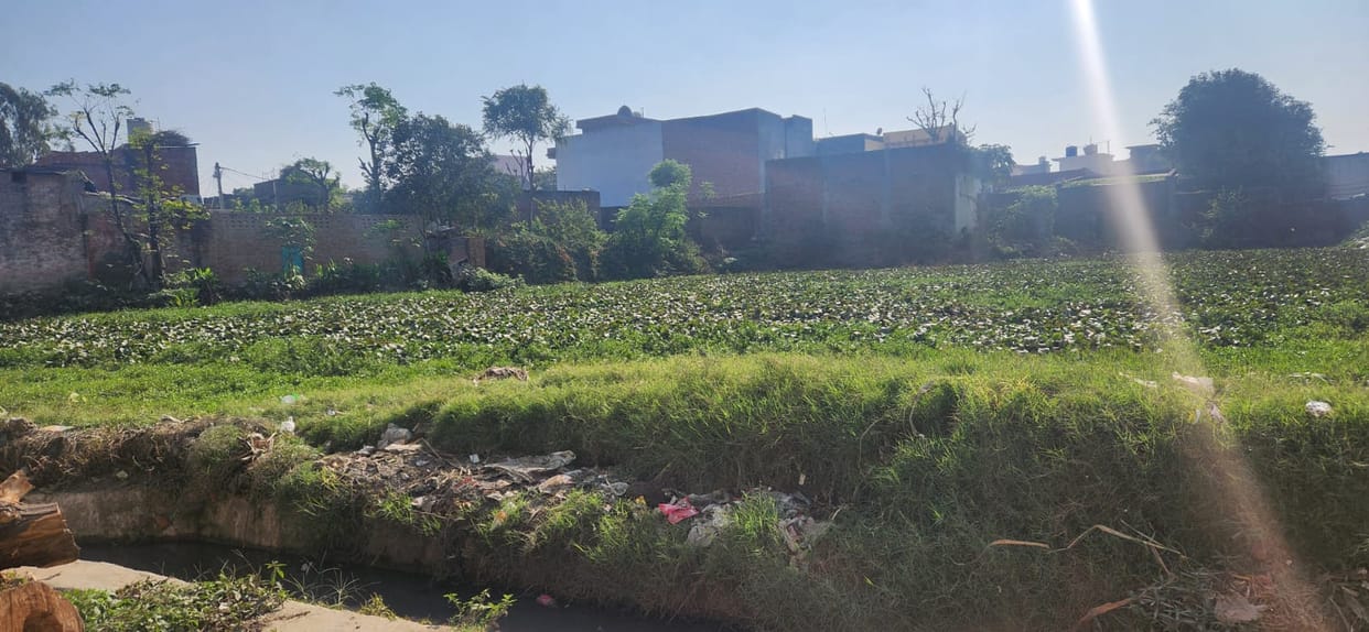 54 thousand rupees were spent, the pond was not cleaned