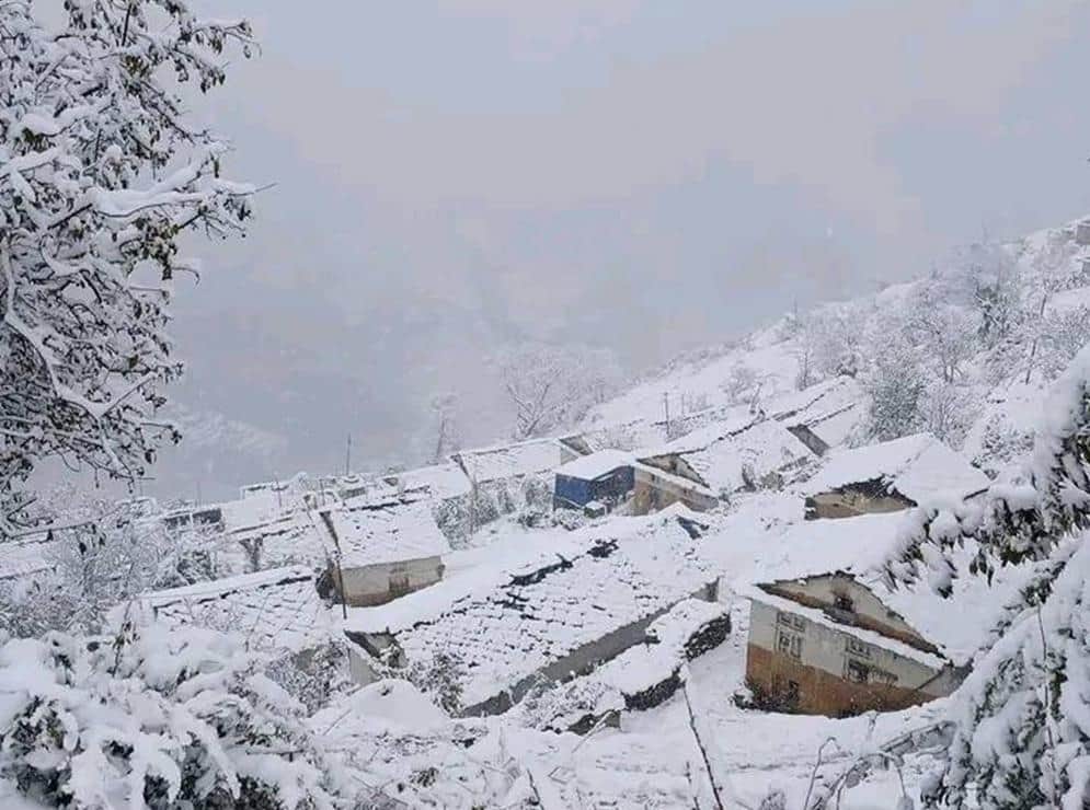 Winter wrath continues: Cold day conditions in West UP, people shivering in the biting cold, dense fog, no r