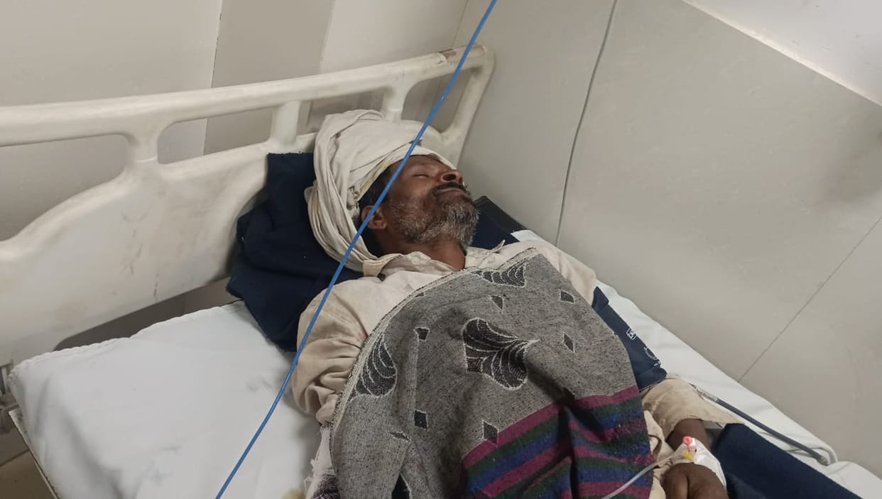 Chhindwara News: Tiger attacks farmer grazing cattle