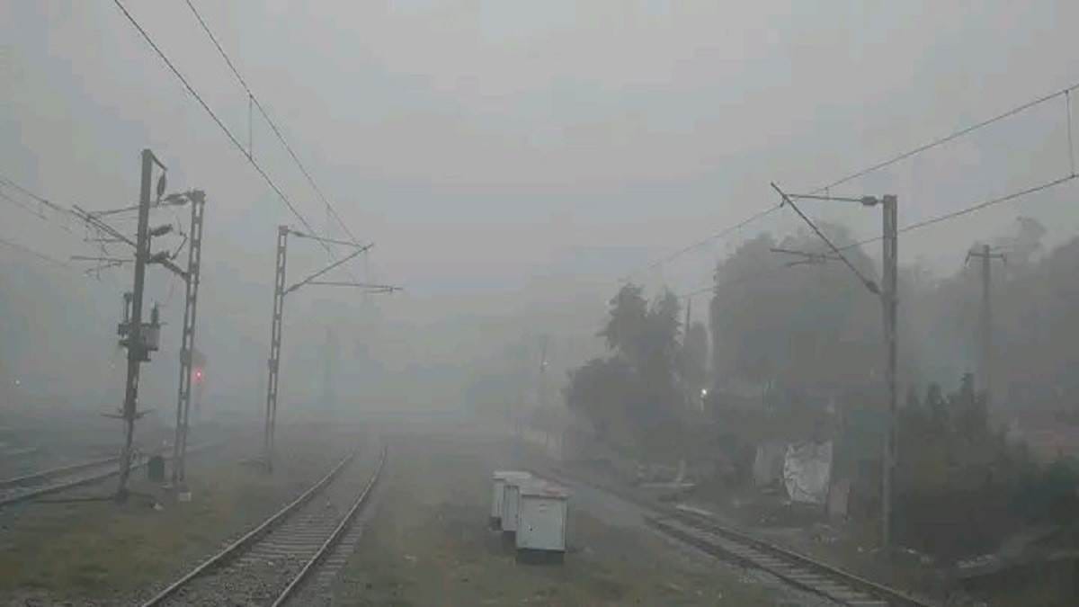 There was fog in the morning, when the sun came out, there was relief from the cold.