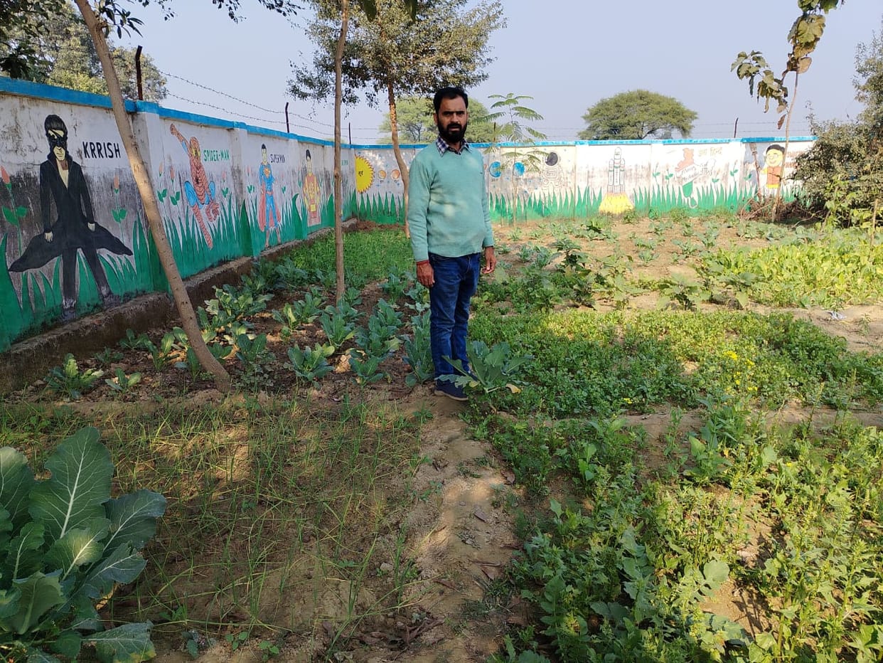 Vegetables prepared in the kitchen garden at Primary School Jorwan.