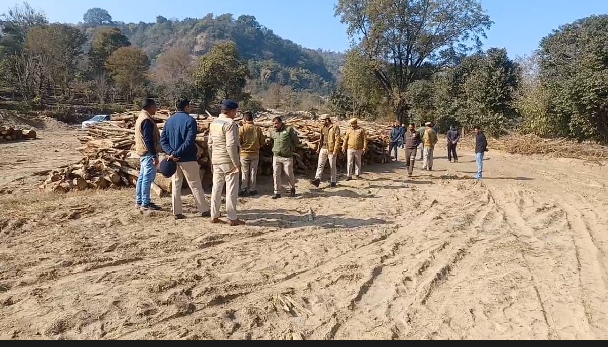 Action on illegal wood cutting, nine quintals of banned wood seized