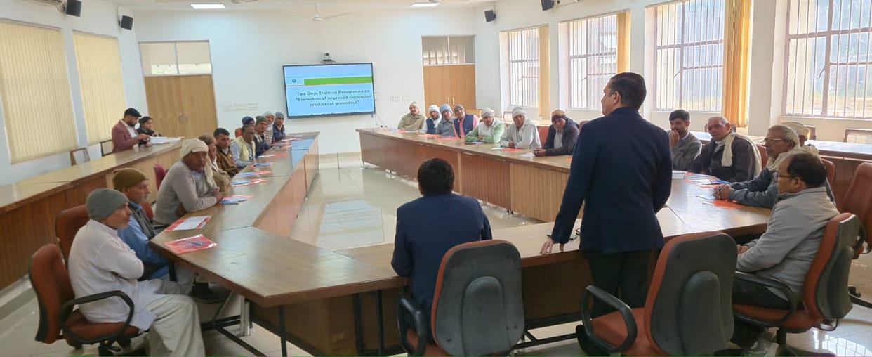 Peanuts will be produced for the first time in the district, 60 farmers got training