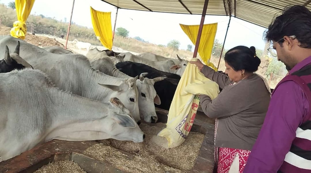 Block Education Officer served the animals