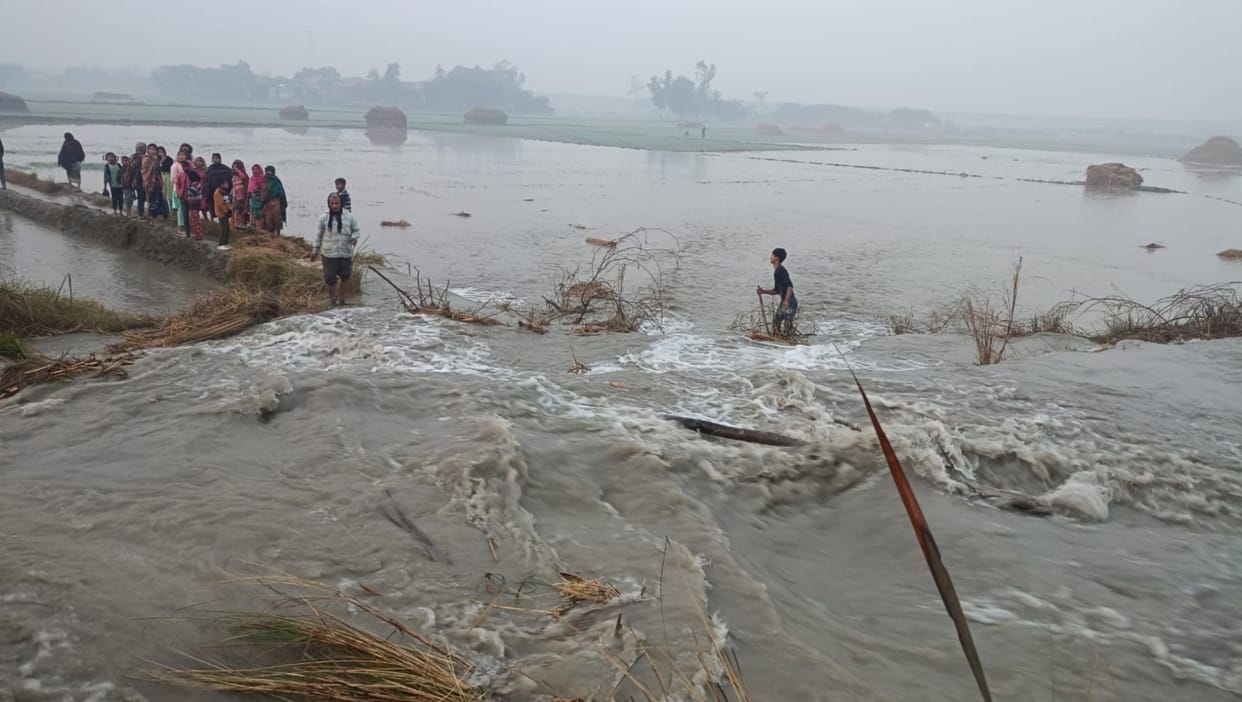 Canal track cut in Raebareli, 300 bigha crop submerged