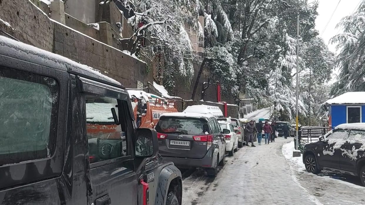 Record rain and snowfall in mountains, happy faces of tourists...some withered