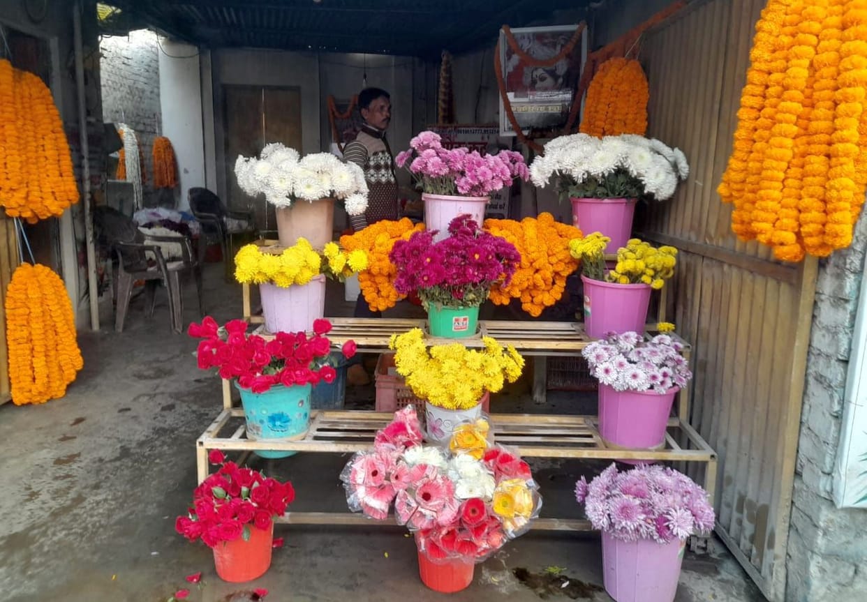 The new year will be fragrant with roses from Lucknow and Delhi