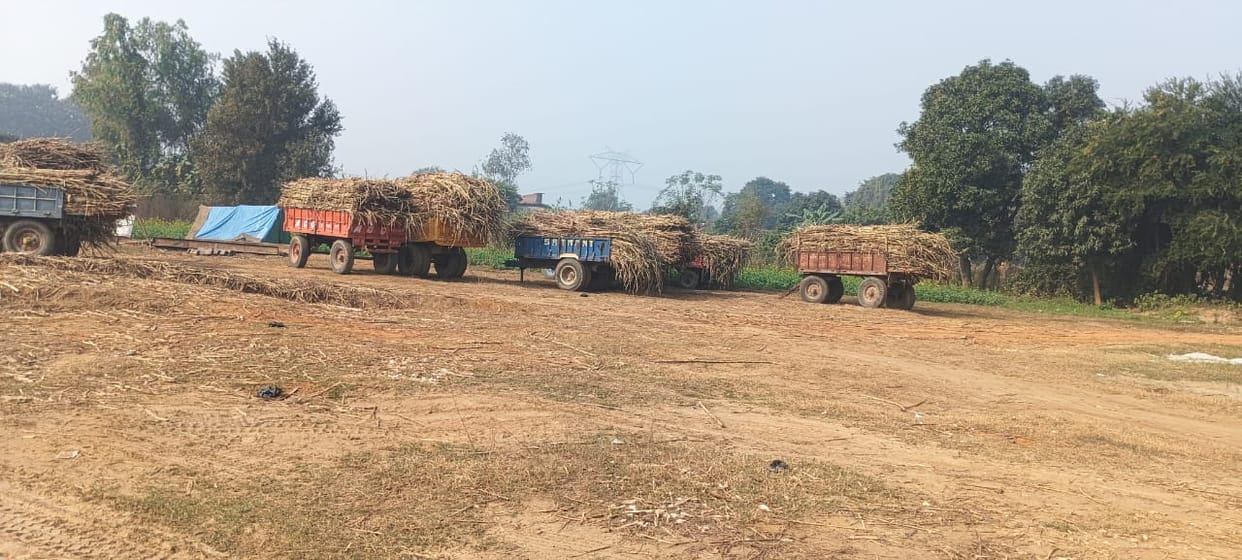 Farmers upset due to delay in weighing at sugarcane purchasing center, returning disappointed