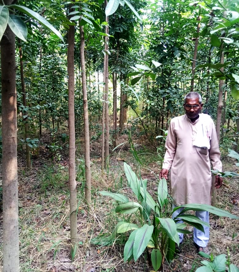 Poet Chandan prepared Madhuvan with the dedication of three decades