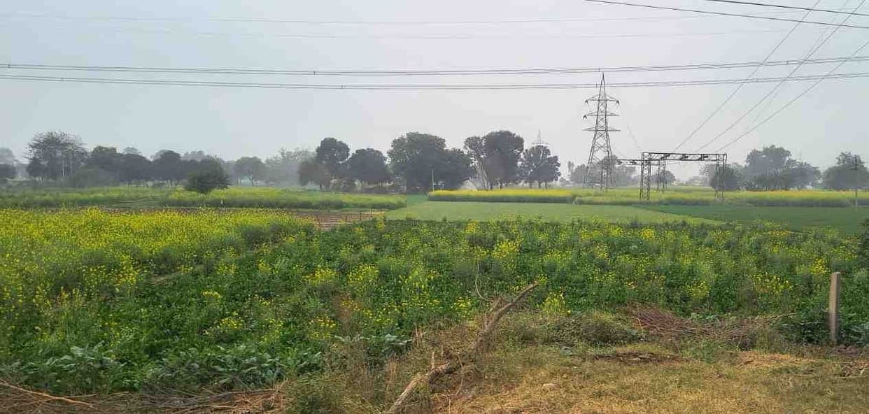 Clouds remained throughout the day, cold increased due to wind