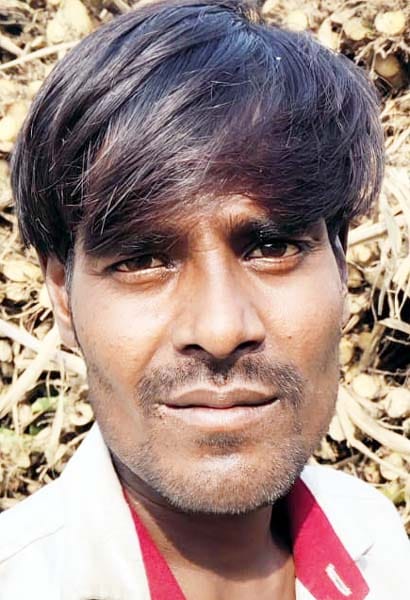 Wild animals intrude into population, forest department is limited to awareness