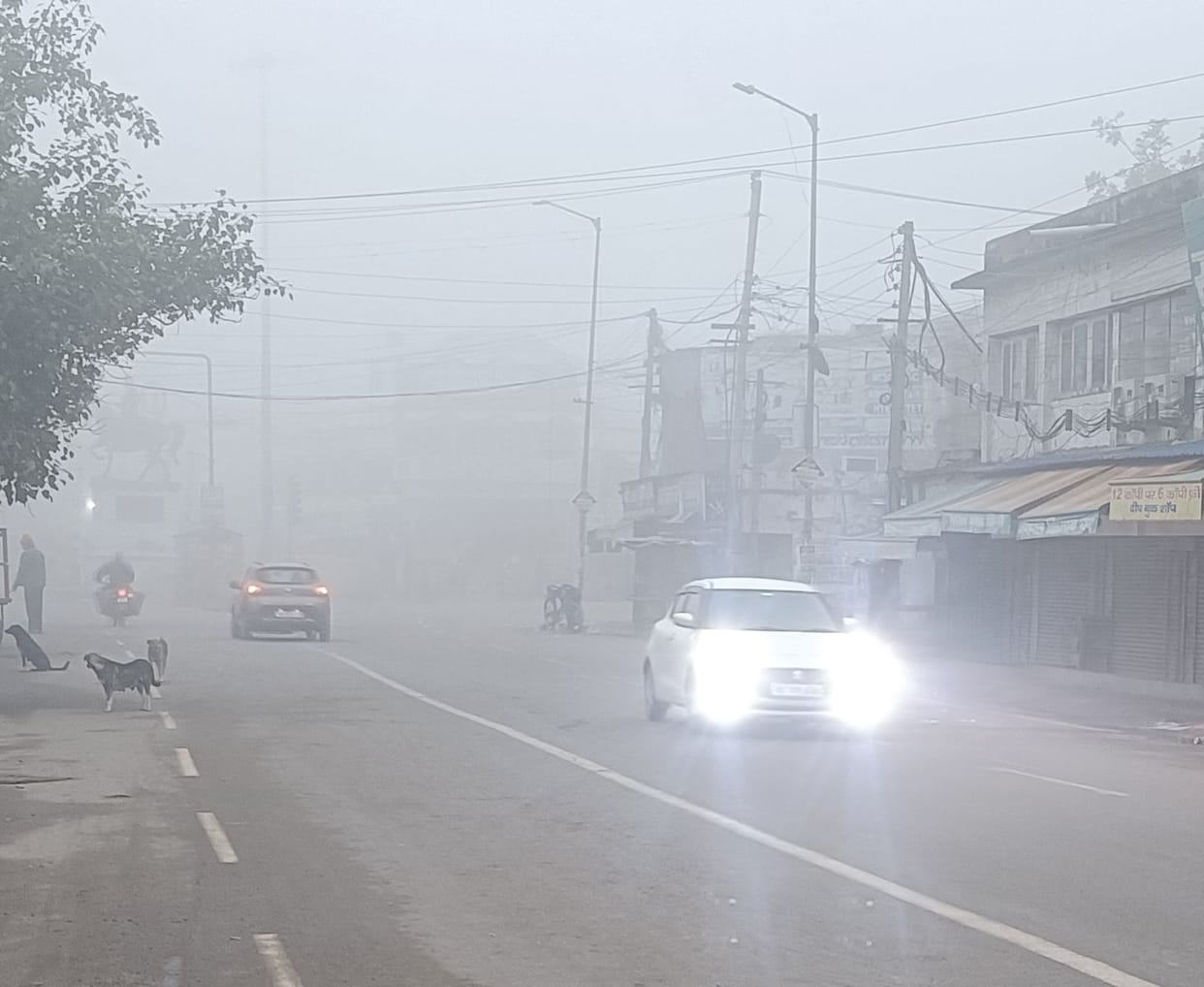 Chill increased due to cold wave