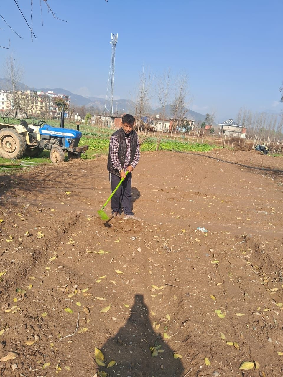 Farmers busy preparing fields for tomatoes