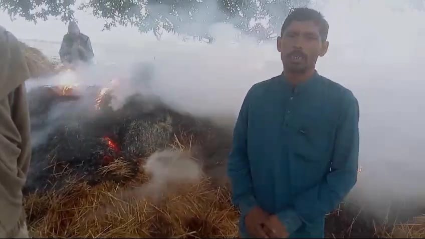 Damoh News Two acres of crop was burnt due to lightning farmer fell unconscious after getting hit by lightning
