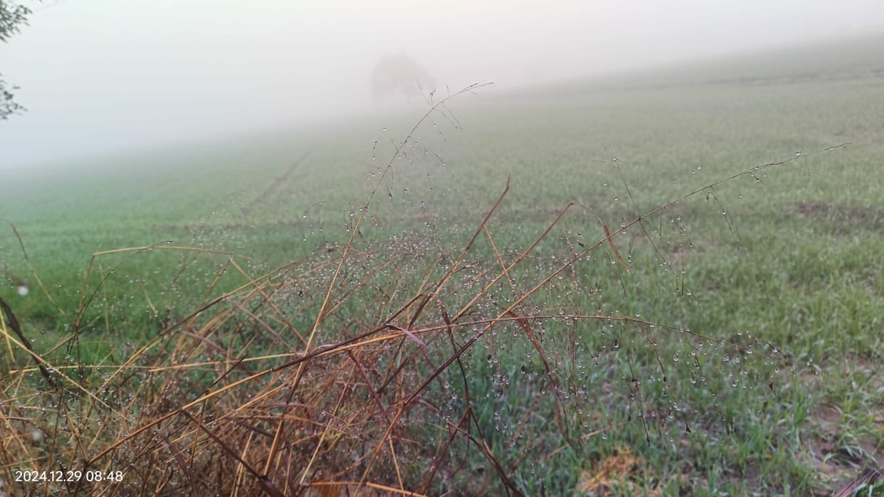 Cold winds tormented, maximum temperature dropped by four degrees, people remained hiding in their homes.