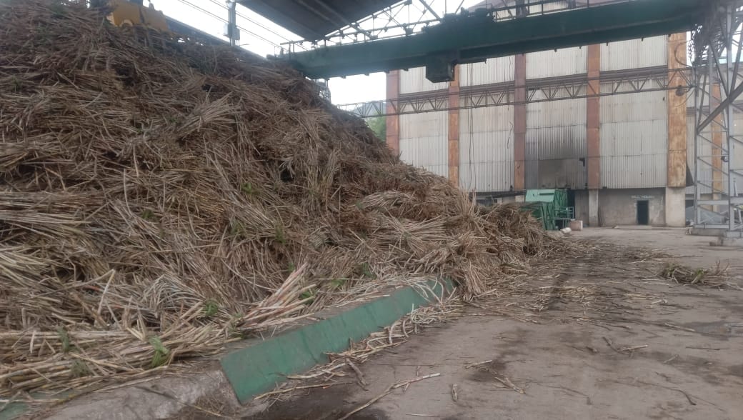 Crushing will start in the sugar mill today after the rain