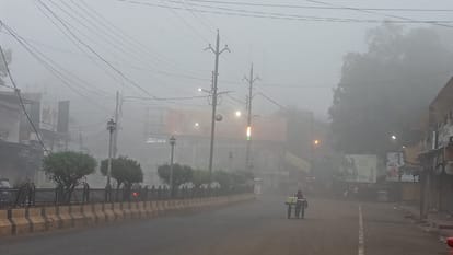 शहडोल में घना कोहरा।