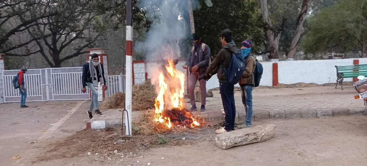 Damoh last day year is passing with severe cold humans as well as cattle are forced to warm themselves bonfire