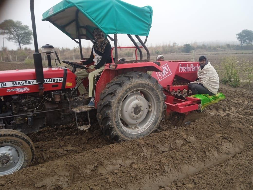 For better yield of wheat, give fertilizer in 15 days