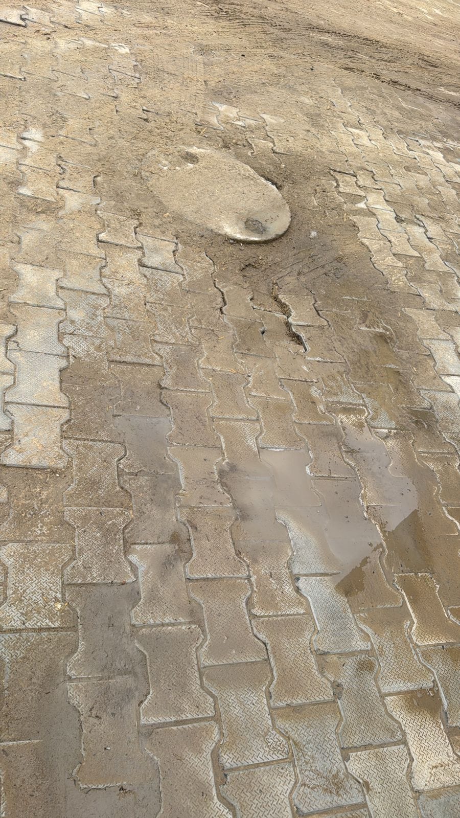 The road built 10 days ago in Ajay Vihar broke in the rain, the colony resident alleged irregularities, said - poor material was used in the construction, the level was also not good.