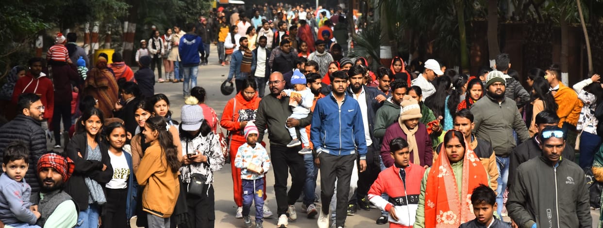 17,630 tourists visited the zoo on New Year