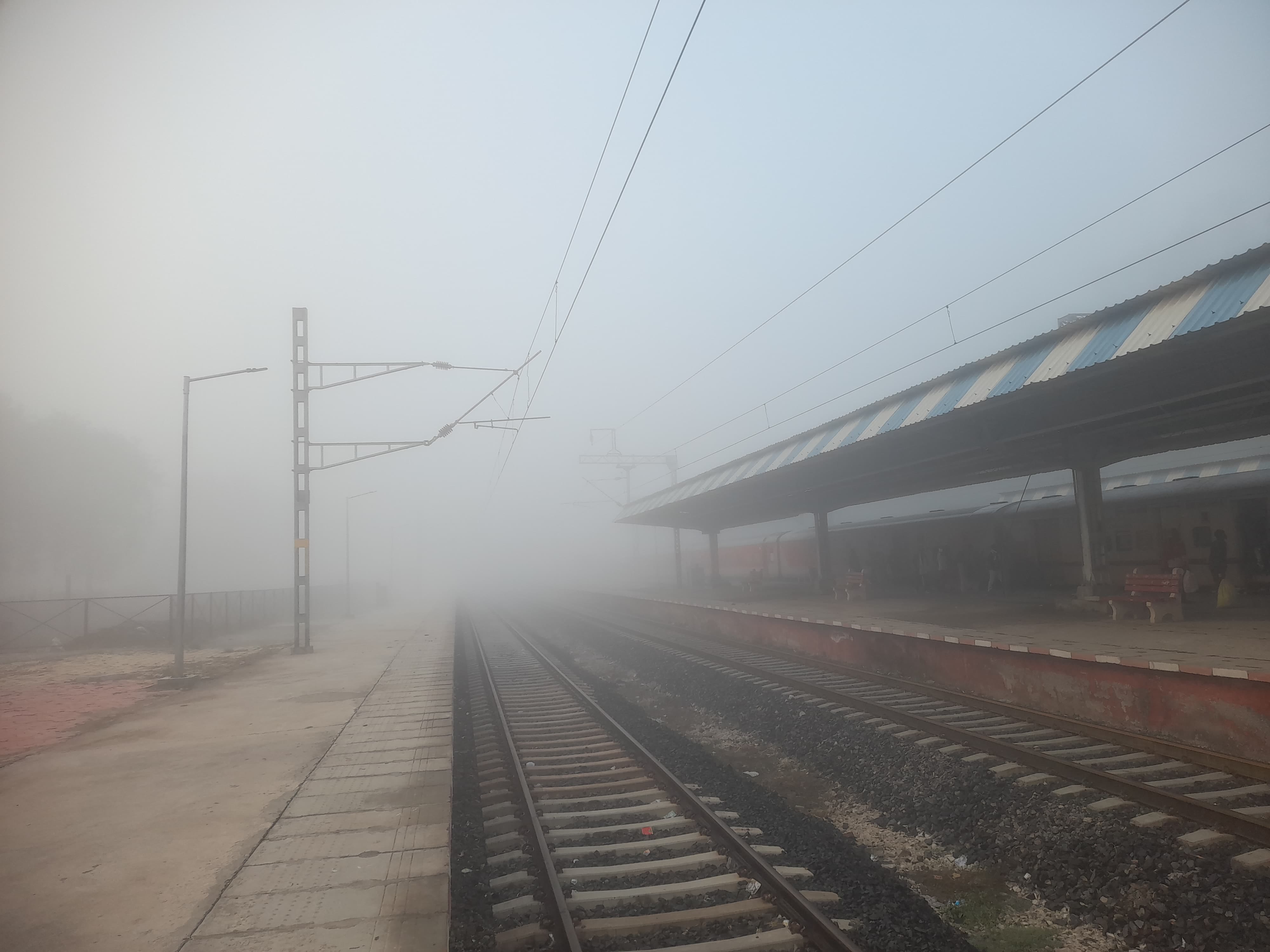 कोहरे का असर